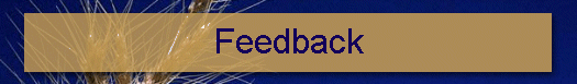 Feedback