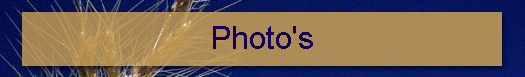 Photo's