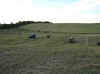 makin hay01.jpg (142906 bytes)